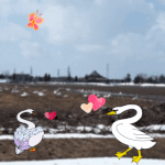 春ですね・・